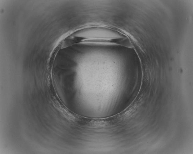 X0000074031168200609111706