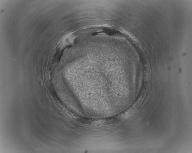 X0000074031169200609111706