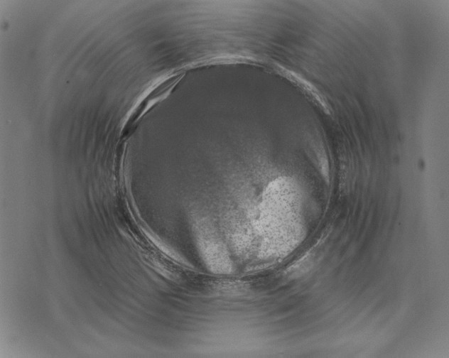 X0000074031170200609111706