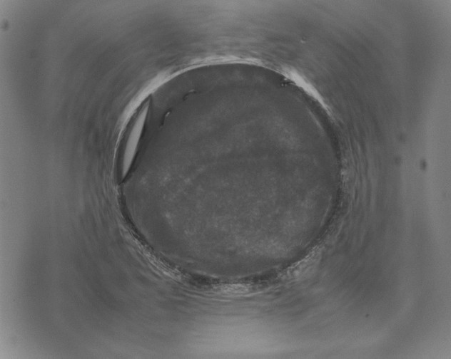 X0000074031173200609111706