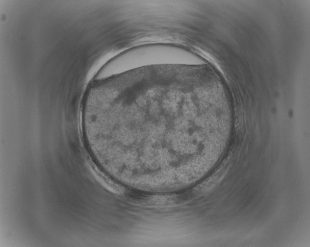 X0000074031179200609111706