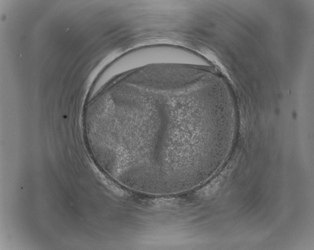 X0000074031181200609111706