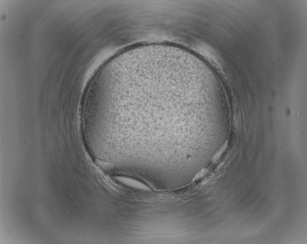 X0000074031183200609111706