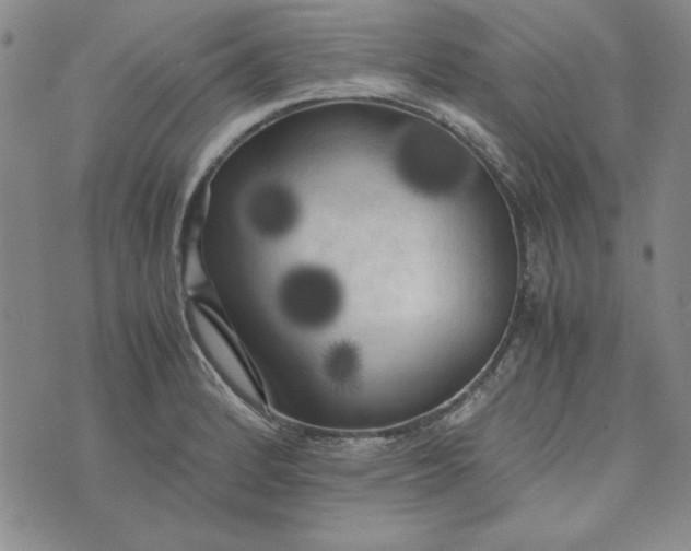 X0000074031184200609111706