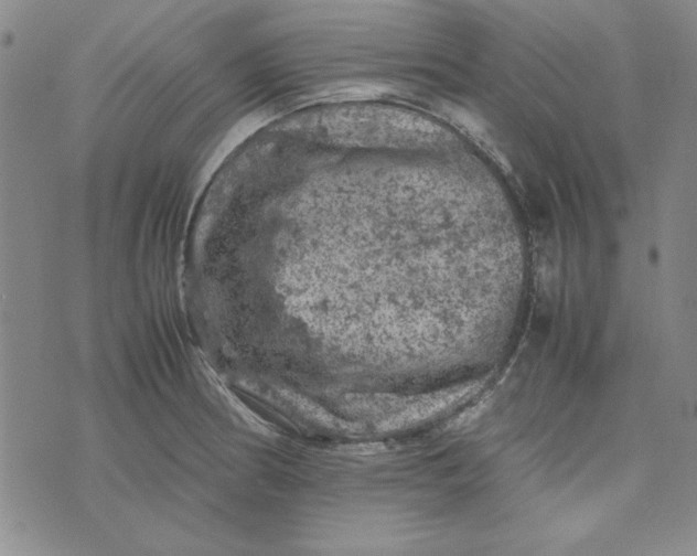 X0000074031186200609111706