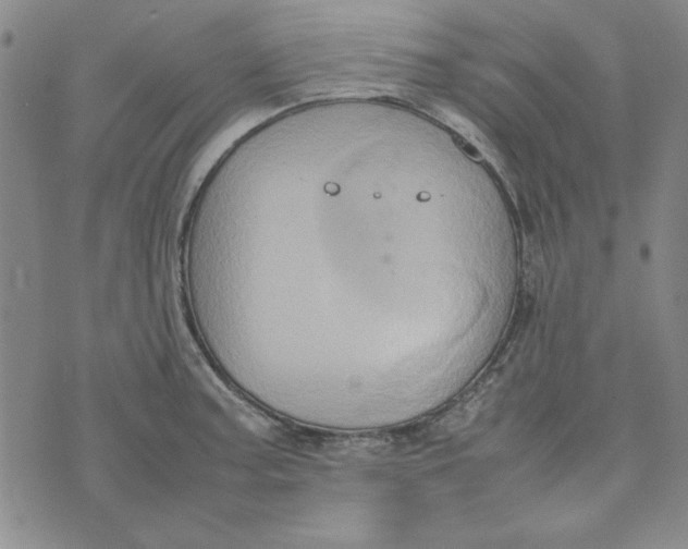 X0000074031187200609111706