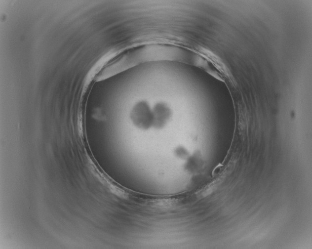 X0000074031188200609111706