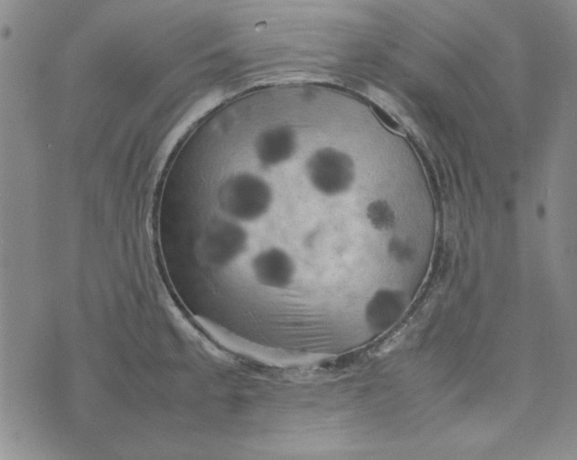 X0000074031189200609111706