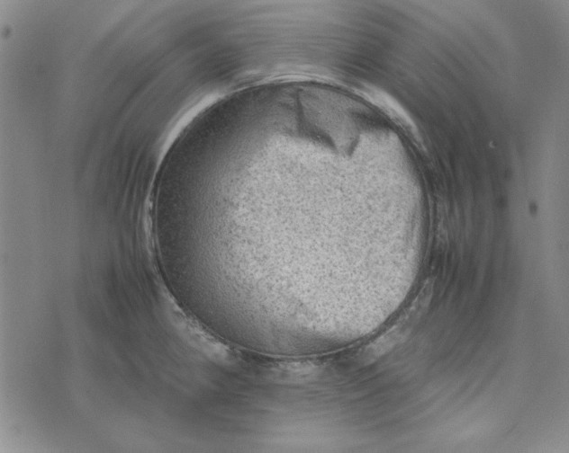 X0000074031190200609111706