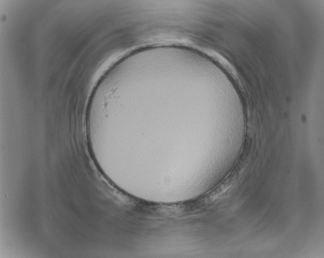 X0000074031191200609111706