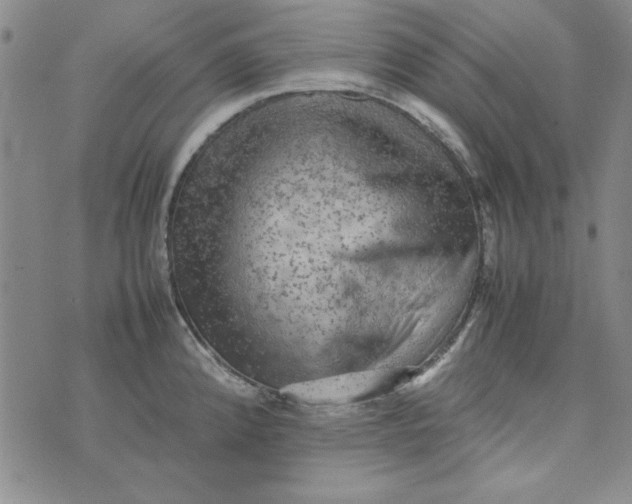 X0000074031192200609111706