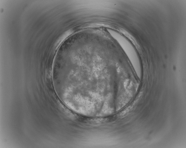 X0000074031193200609111706