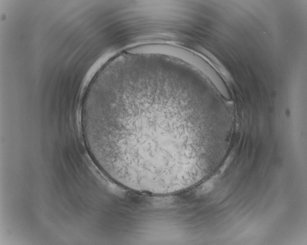 X0000074031196200609111706