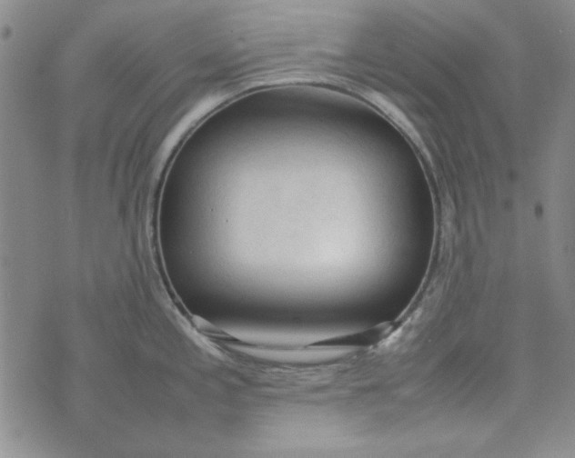 X0000074031197200609111706