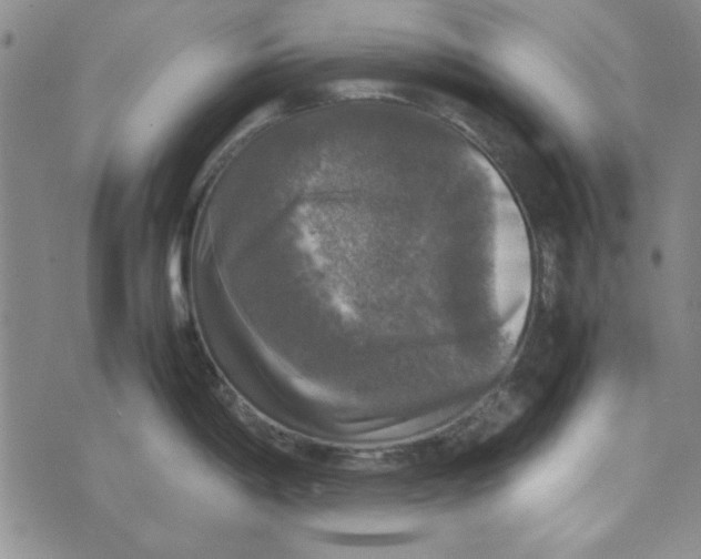 X0000074031198200609111706