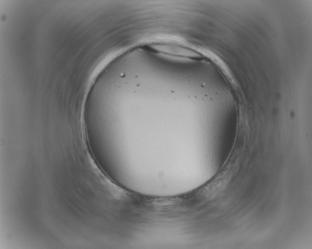 X0000074031199200609111706