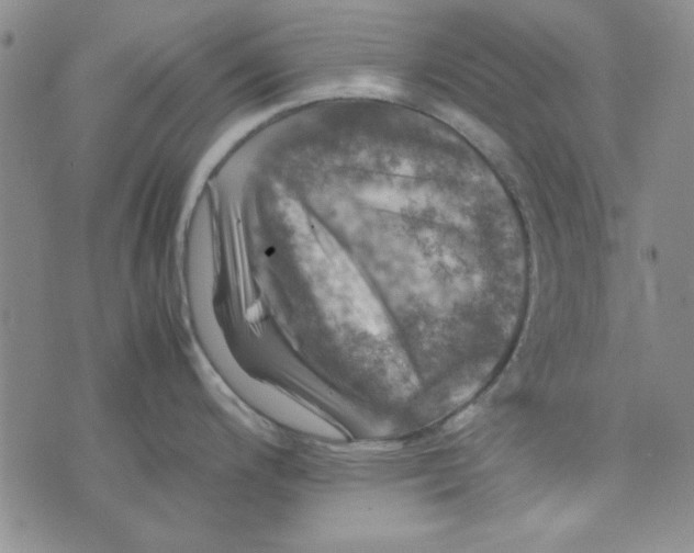 X0000074031200200609111706