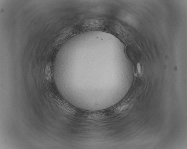 X0000074031203200609111705