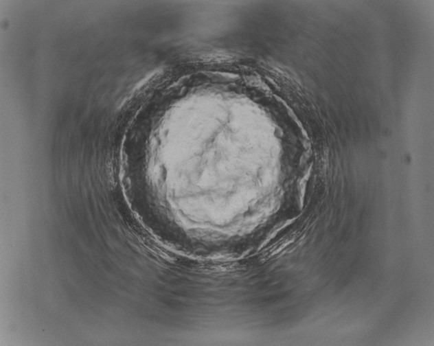 X0000074031205200609111705