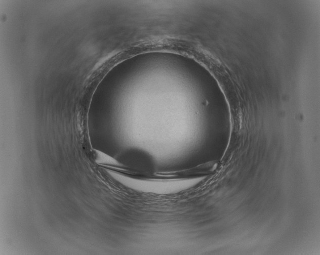 X0000074031206200609111705