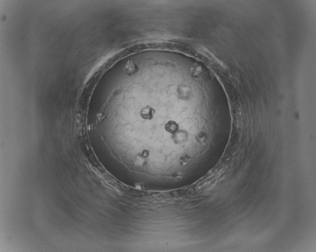 X0000074031208200609111705