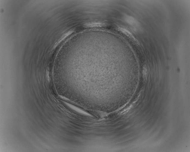 X0000074031209200609111705