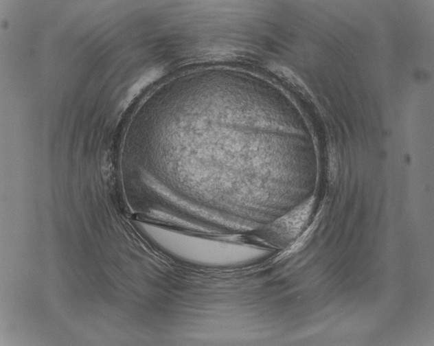 X0000074031210200609111705