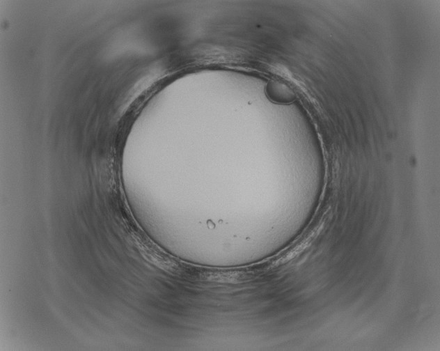 X0000074031211200609111705