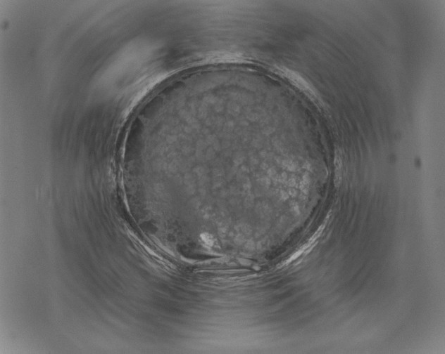 X0000074031212200609111705