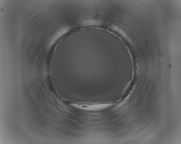 X0000074031213200609111705