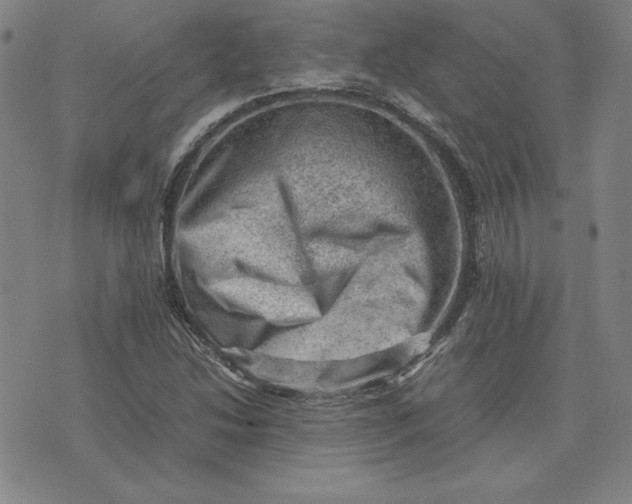 X0000074031214200609111705