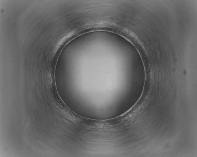 X0000074031218200609111705