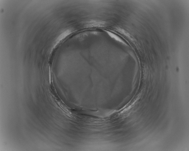 X0000074031219200609111705