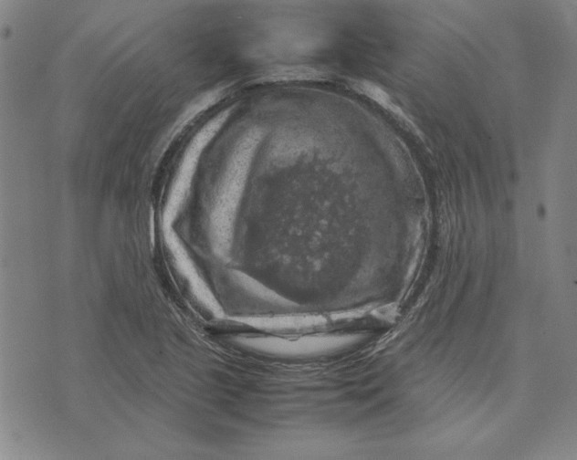 X0000074031221200609111705