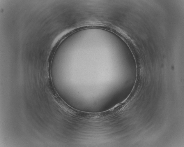 X0000074031222200609111705