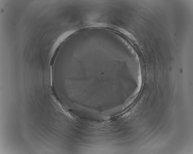 X0000074031223200609111705