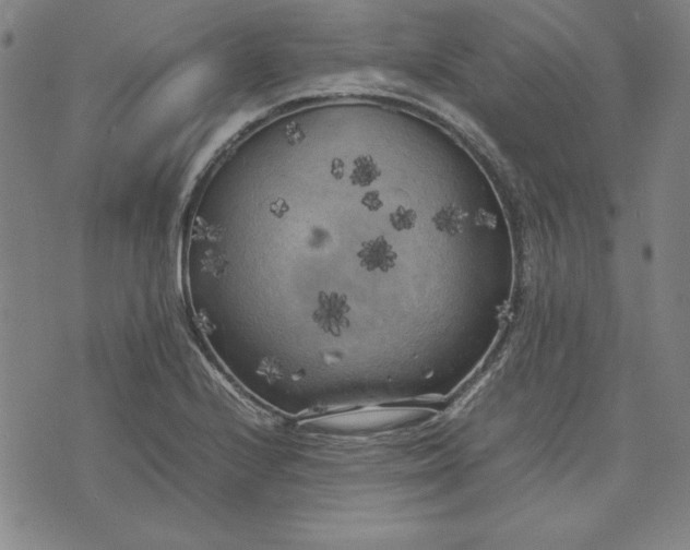 X0000074031224200609111705