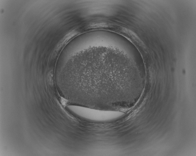 X0000074031225200609111705