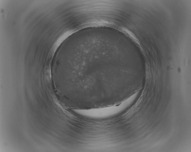 X0000074031226200609111705