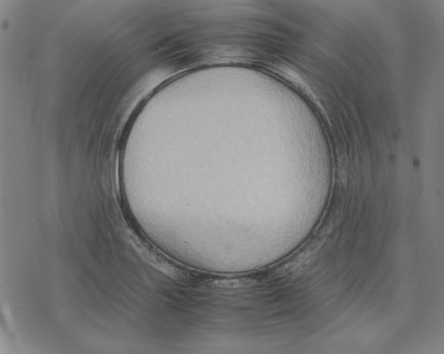 X0000074031227200609111705