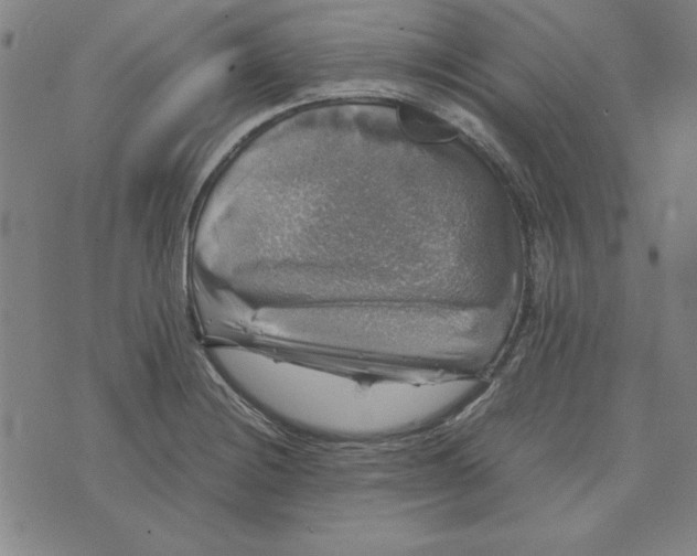 X0000074031228200609111705