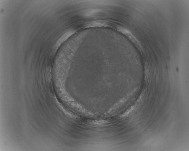 X0000074031233200609111705