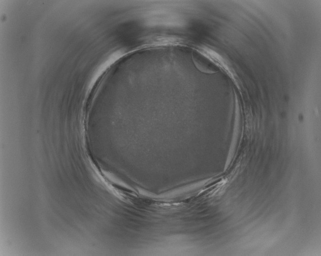 X0000074031235200609111705