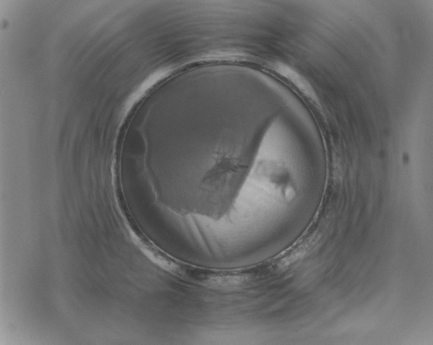 X0000074031237200609111705