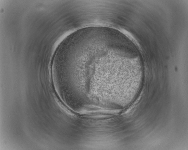 X0000074031238200609111705