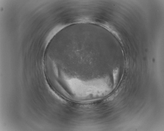 X0000074031239200609111705