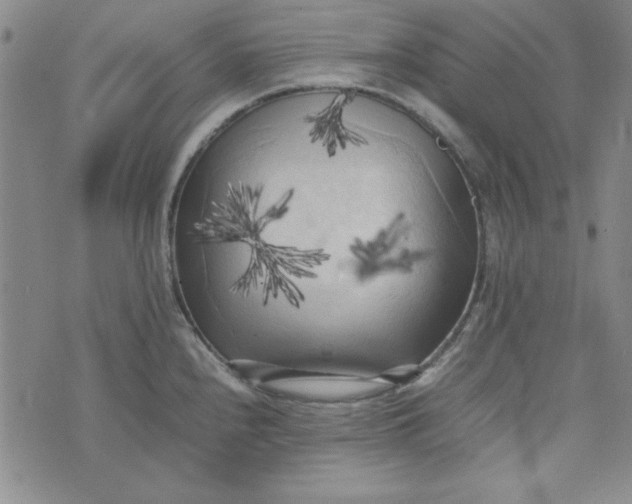 X0000074031240200609111706