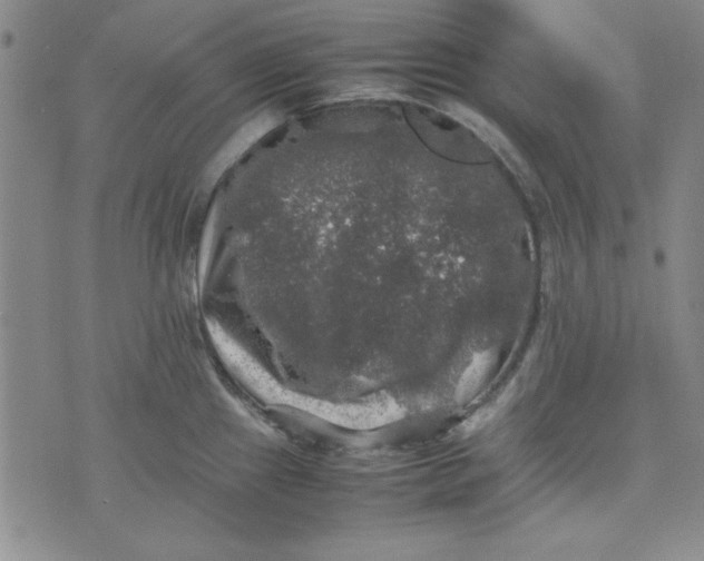 X0000074031241200609111706