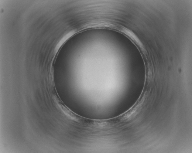 X0000074031242200609111706