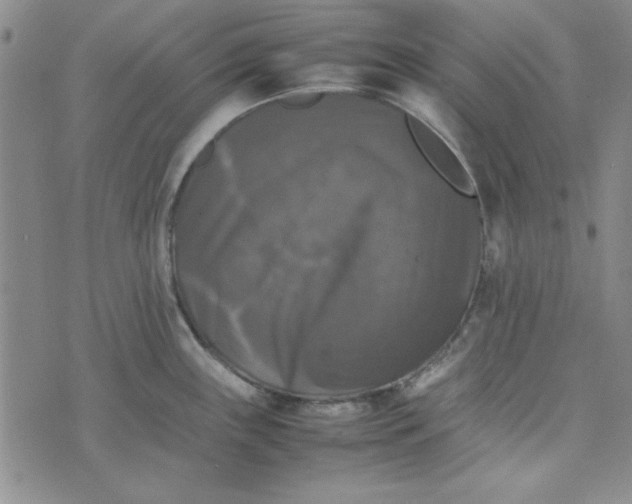 X0000074031243200609111706